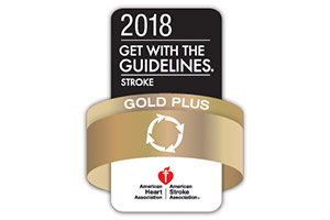 American Heart Association 2018 Gold Plus award badge
