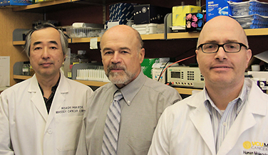 Scientists Hisashi Harada, Ph.D., David Gewirtz, Ph.D., and Joseph Landry, Ph.D. wearing lab coats and dress shirts.