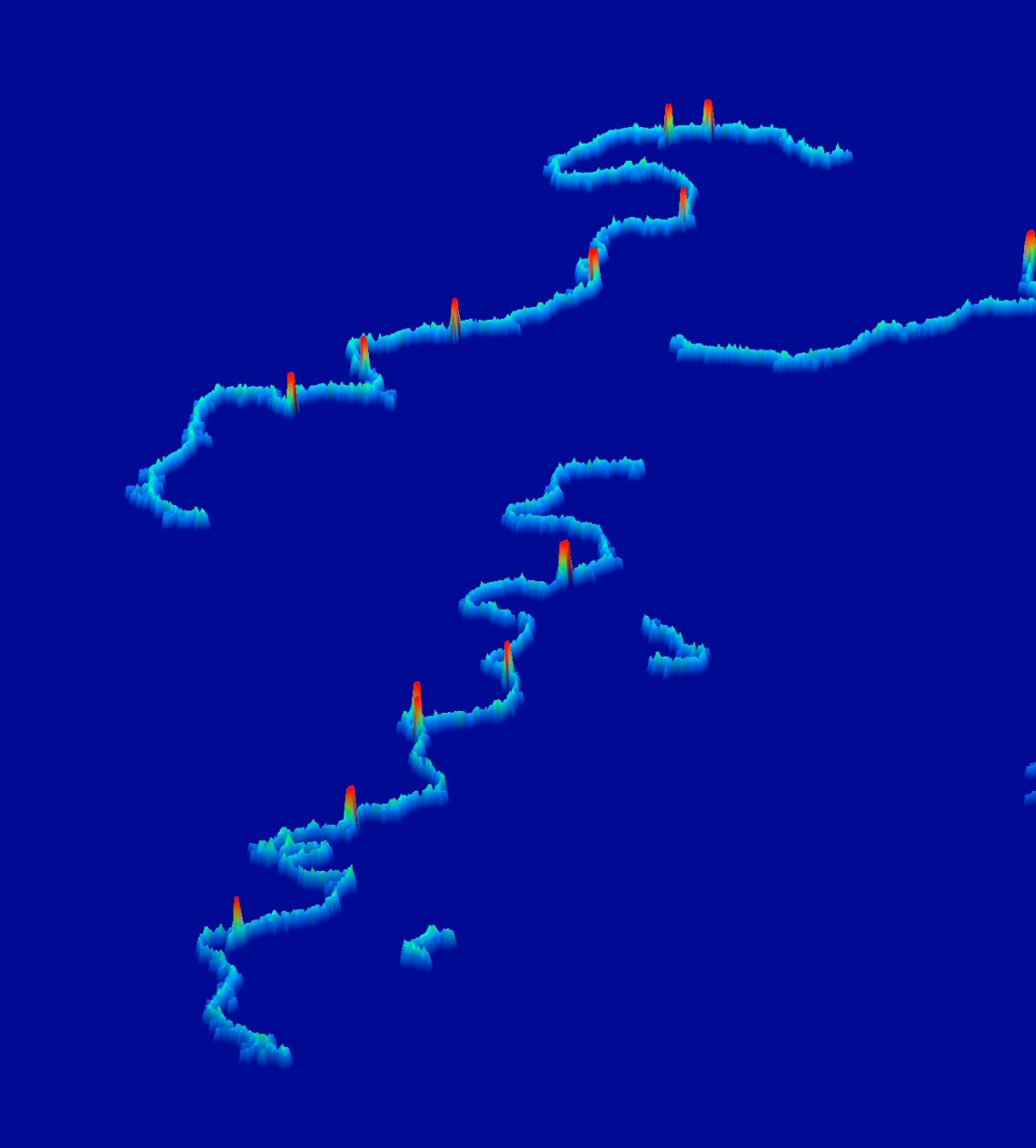 An atomic force microscopy image of barcoded DNA molecules.